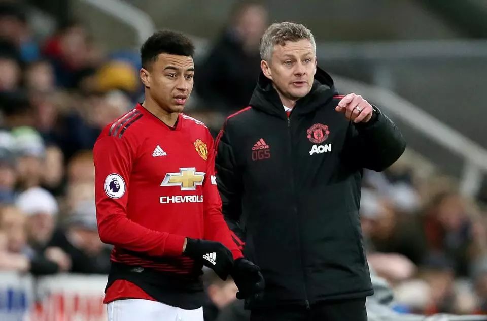 每天的训练 每天的训练