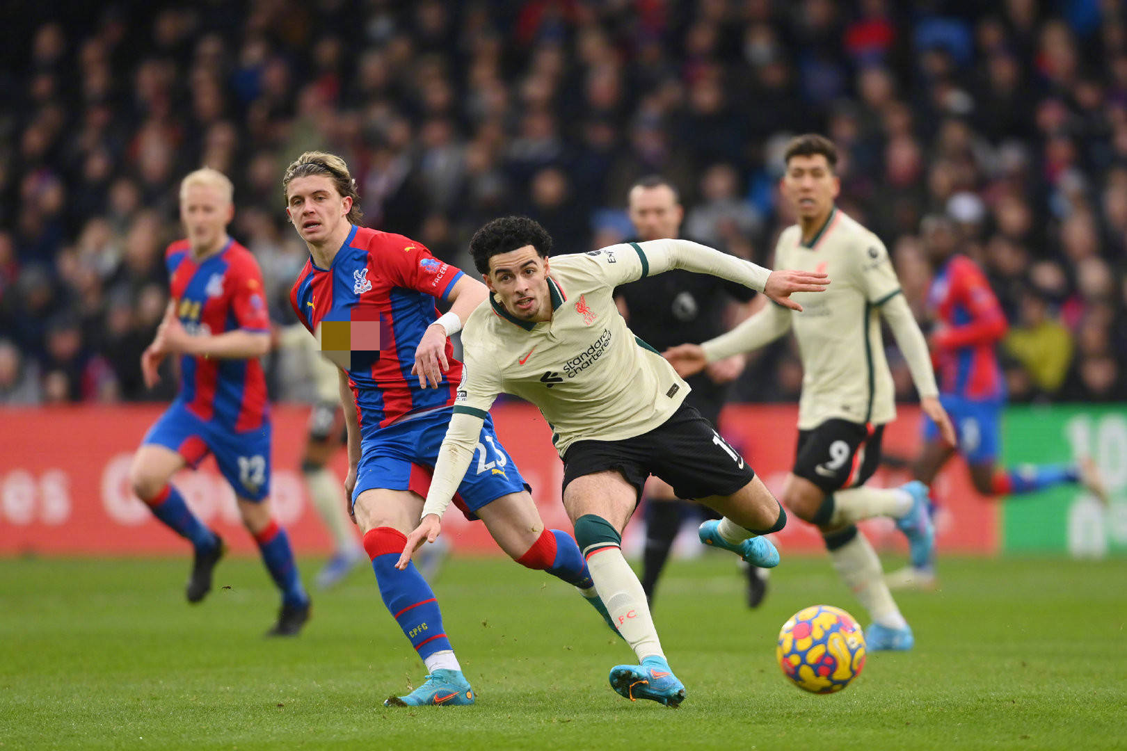 她的呼吸节 她的呼吸节